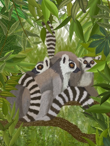 Lemur Family in Canopy