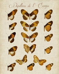Papillons de L'Europe I