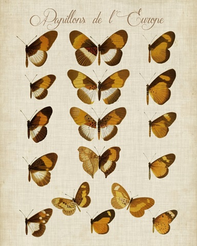 Papillons de L'Europe I