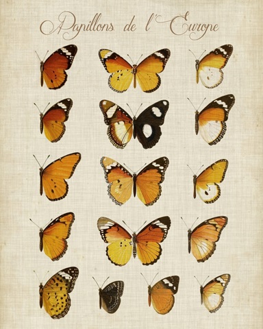 Papillons de L'Europe II