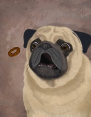 Pug, Catch 1