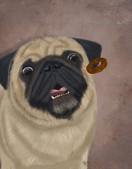 Pug, Catch 2