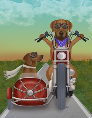 Rhodesian Ridgeback Chopper and Sidecar