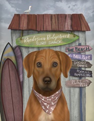 Rhodesian Ridgeback Surf Shack