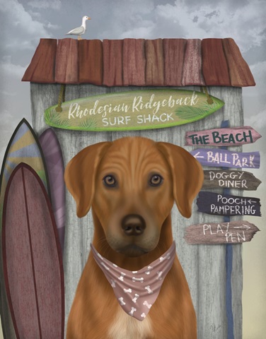 Rhodesian Ridgeback Surf Shack