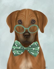 Rhodesian Ridgeback with Glasses and Bow Tie