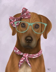 Rhodesian Ridgeback with Glasses and Scarf