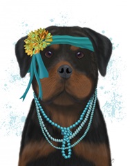 Rottweiler Flapper