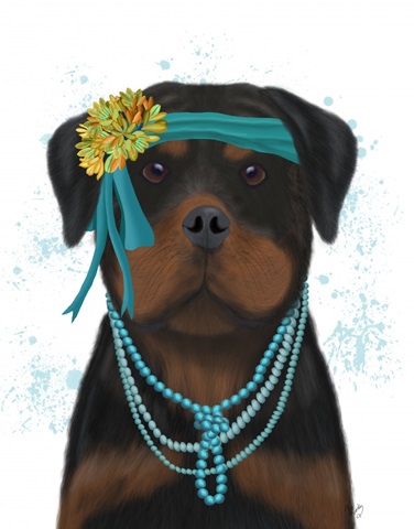 Rottweiler Flapper