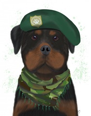 Rottweiler Military Dog