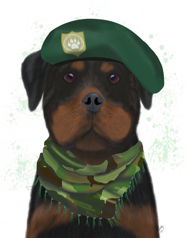 Rottweiler Military Dog