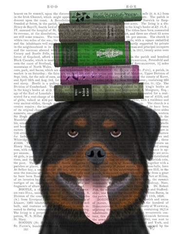 Rottweiller and Books