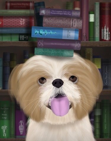 Shih Tsu and Books