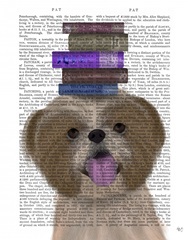 Shih Tsu and Books