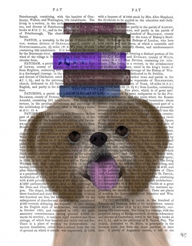 Shih Tsu and Books