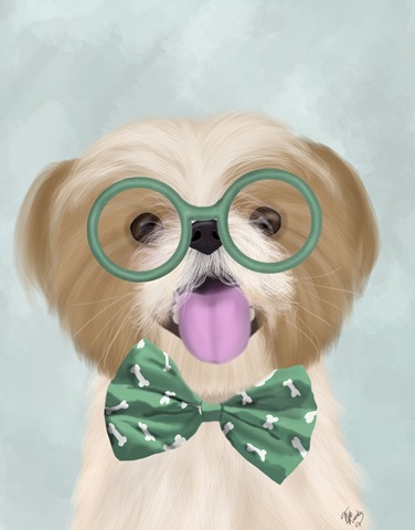 Shih Tsu with Glasses and Bow Tie