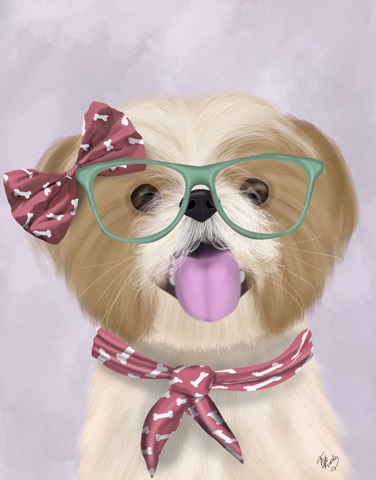 Shih Tsu with Glasses and Scarf