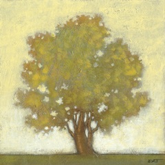 Spring Morning