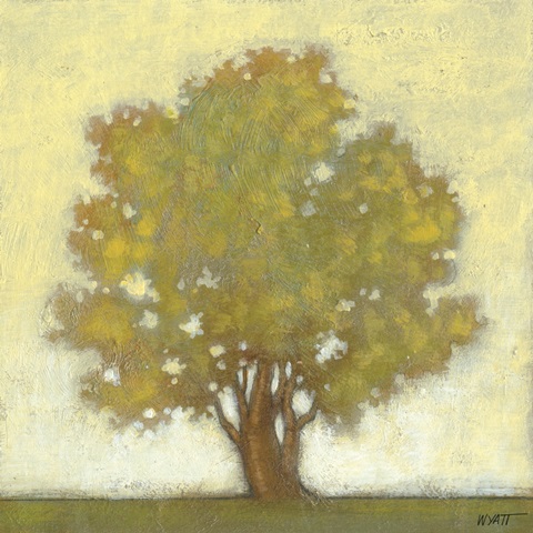 Spring Morning