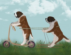 StBernard Scooter