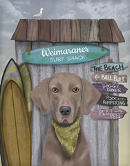 Weimaraner Surf Shack