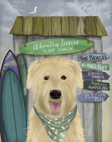 Wheaten Terrier Surf Shack