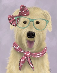 Wheaten Terrier with Glasses and Scarf
