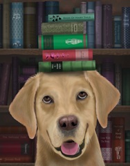 Yellow Labrador and Books