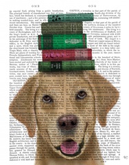 Yellow Labrador and Books
