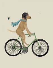 Yellow Labrador in Flying Helmet on Bicycle