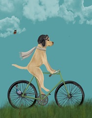 Yellow Labrador in Flying Helmet on Bicycle, Sky