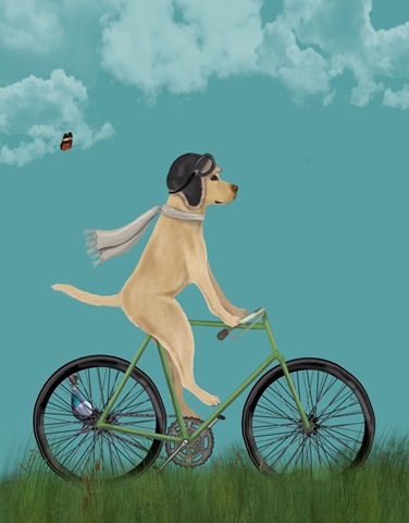 Yellow Labrador in Flying Helmet on Bicycle, Sky