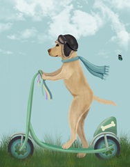 Yellow Labrador Scooter