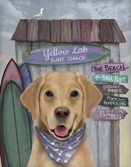 Yellow Labrador Surf Shack