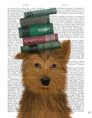Yorkshire Terrier and Books