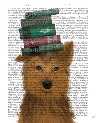 Yorkshire Terrier and Books