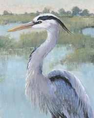 Blue Heron Portrait I
