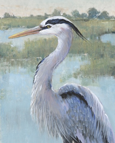 Blue Heron Portrait I