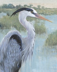 Blue Heron Portrait II