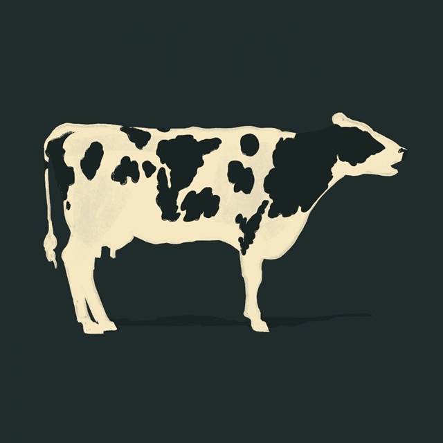 Refined Holstein I