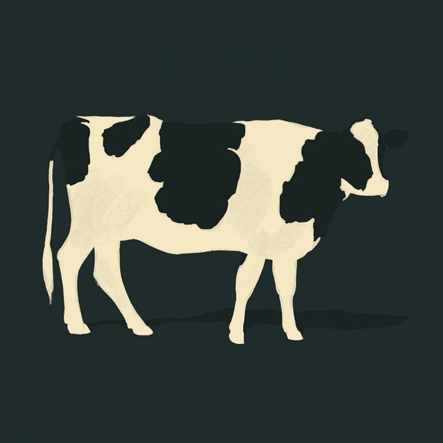 Refined Holstein III