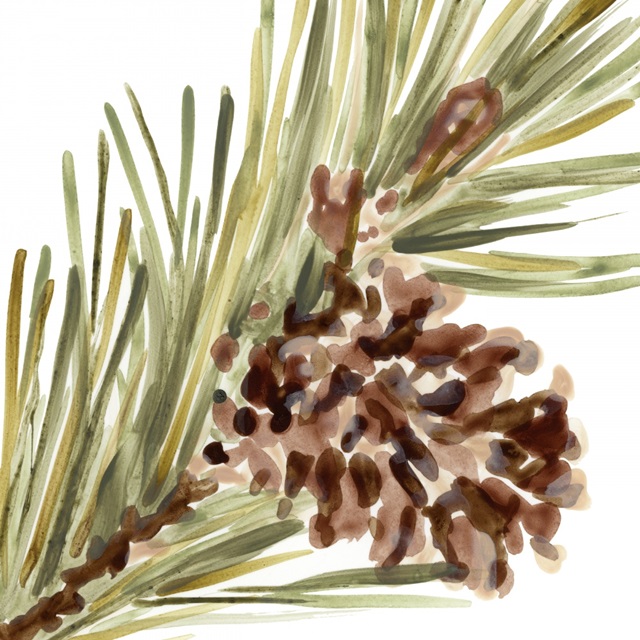 Simple Pine Cone I