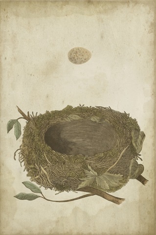Bird's Nest Study II