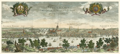 Dahlberg Bird's Eye View III