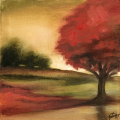 Harvest Maple I