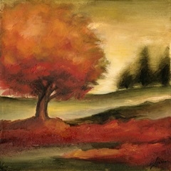 Harvest Maple II
