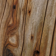 Nature's Textures IX