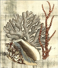 Neptune's Composition I