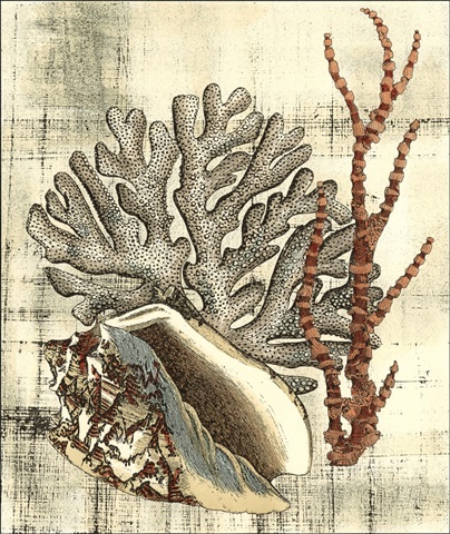 Neptune's Composition I