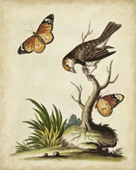 Companions in Nature II